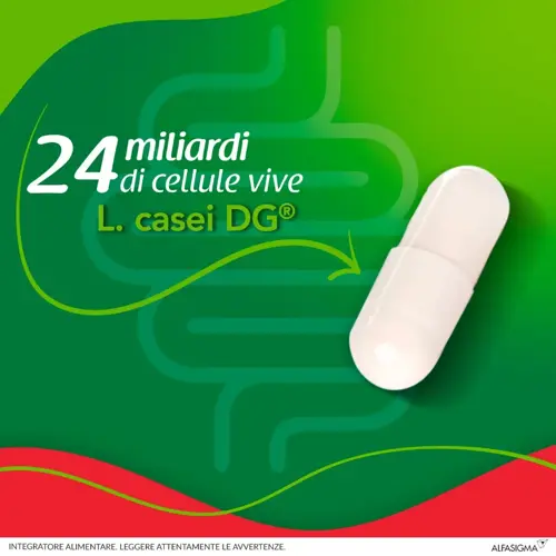 Enterolactis Plus Integratore Fermenti Lattici Vivi e Probiotici 15 Capsule - immagine 5