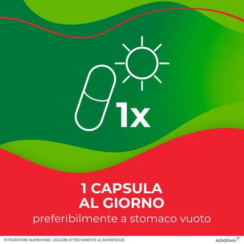 Enterolactis Plus Integratore Fermenti Lattici Vivi e Probiotici 15 Capsule - immagine 4